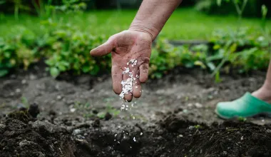 100%生分解性（コンポスト化）への対応