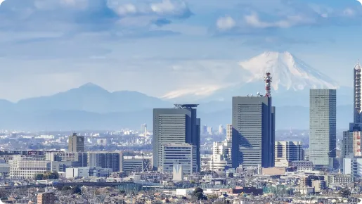 日本国内の状況