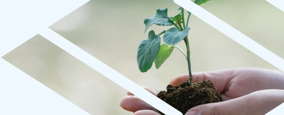 サステナブル樹脂（バイオマス・リサイクル）