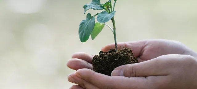 サステナブル樹脂（バイオマス・リサイクル）
